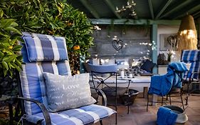 The Lemon Tree